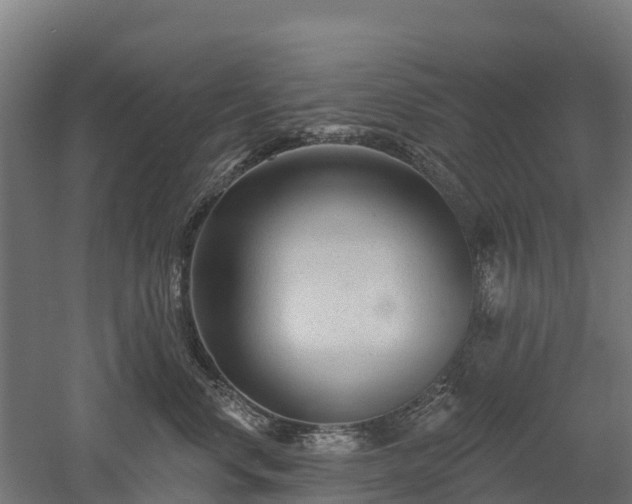 X0000052940668200507151644