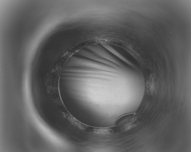 X0000052940671200507151644