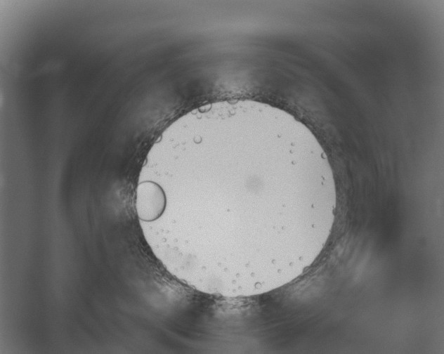 X0000052940672200507151644