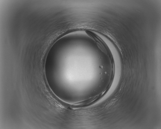 X0000052940673200507151644