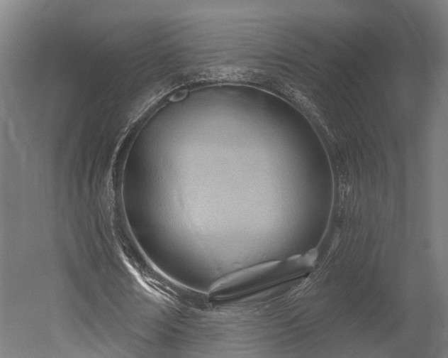 X0000052940674200507151644