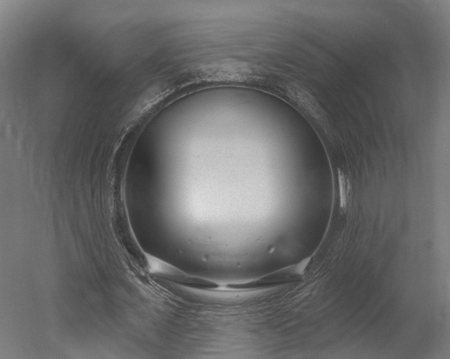 X0000052940675200507151644