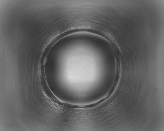 X0000052940676200507151644