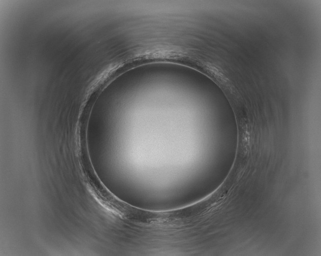 X0000052940678200507151644