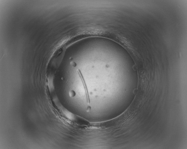 X0000052940679200507151644