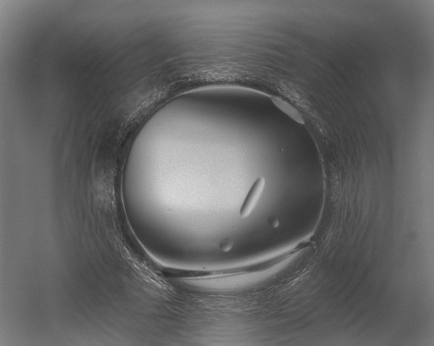 X0000052940681200507151644