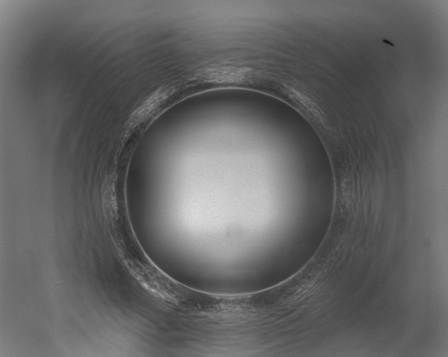 X0000052940682200507151644