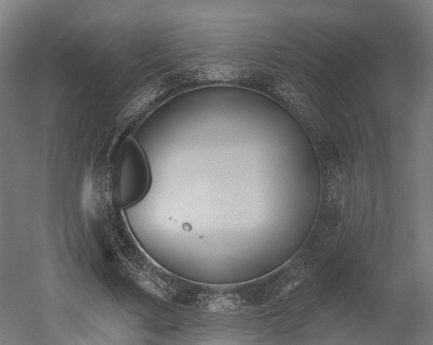 X0000052940683200507151643