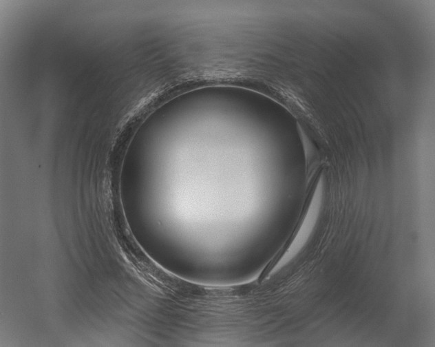 X0000052940684200507151643