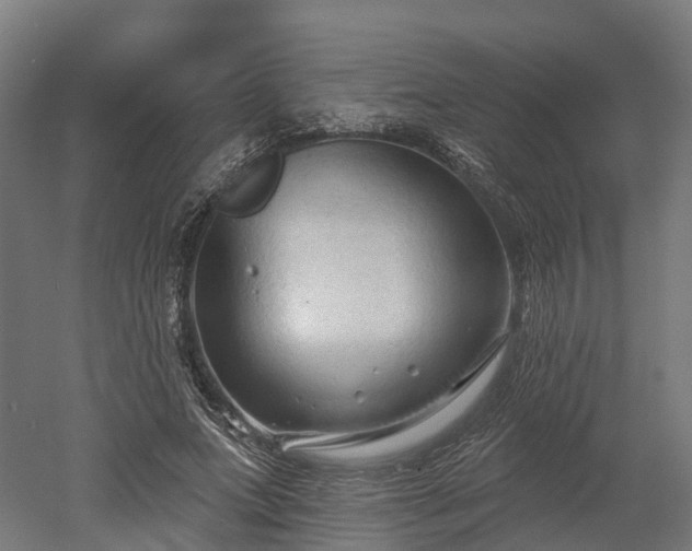 X0000052940687200507151643