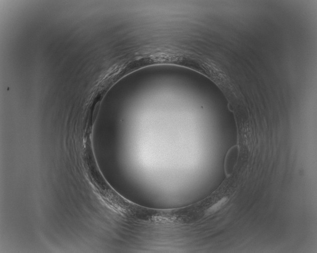 X0000052940690200507151643