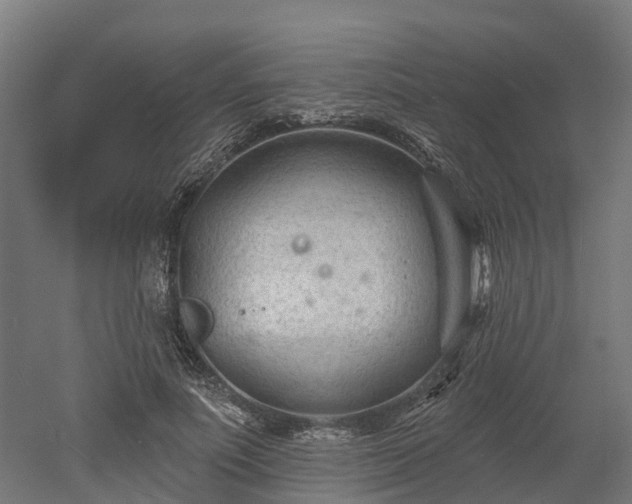 X0000052940691200507151643