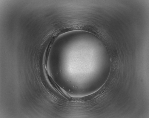 X0000052940693200507151643