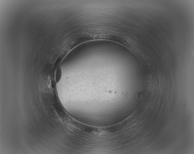 X0000052940695200507151643