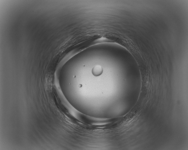 X0000052940697200507151643