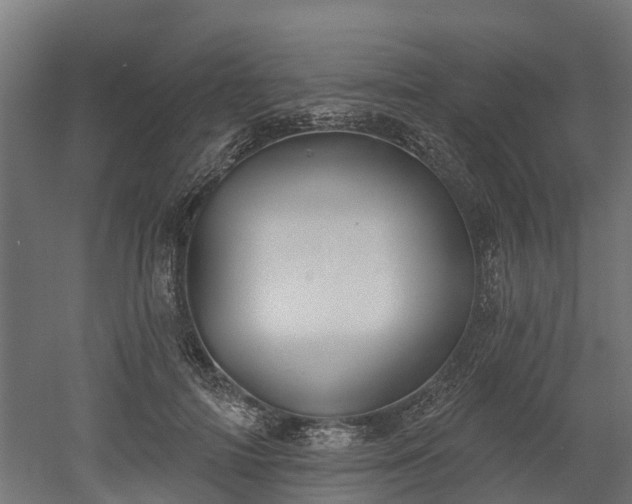 X0000052940698200507151643