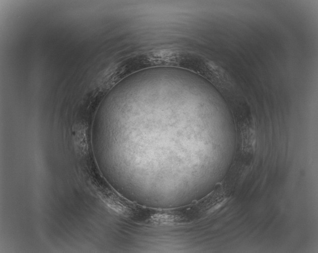 X0000052940699200507151643