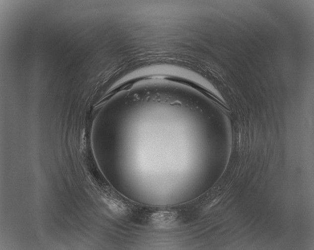 X0000052940700200507151643