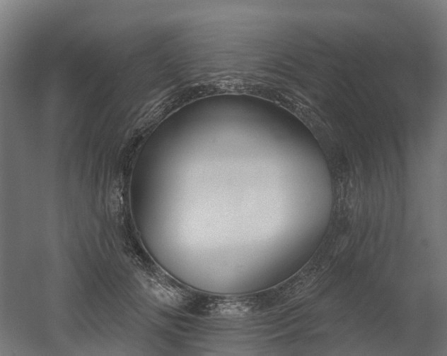 X0000052940702200507151643