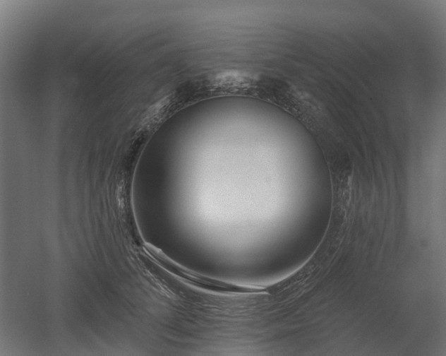 X0000052940708200507151643