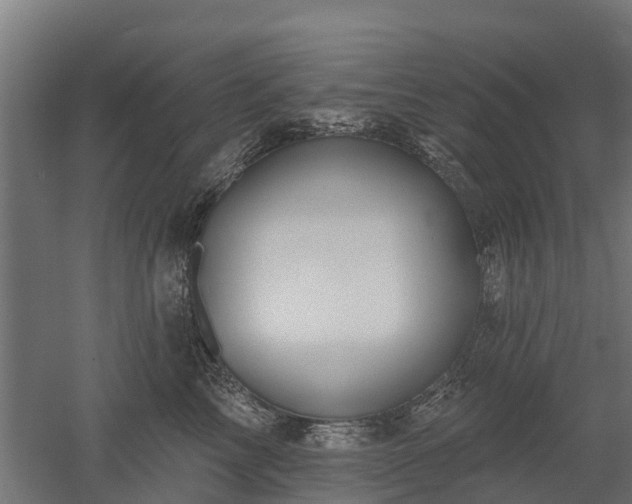 X0000052940713200507151643