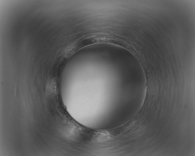 X0000052940715200507151643