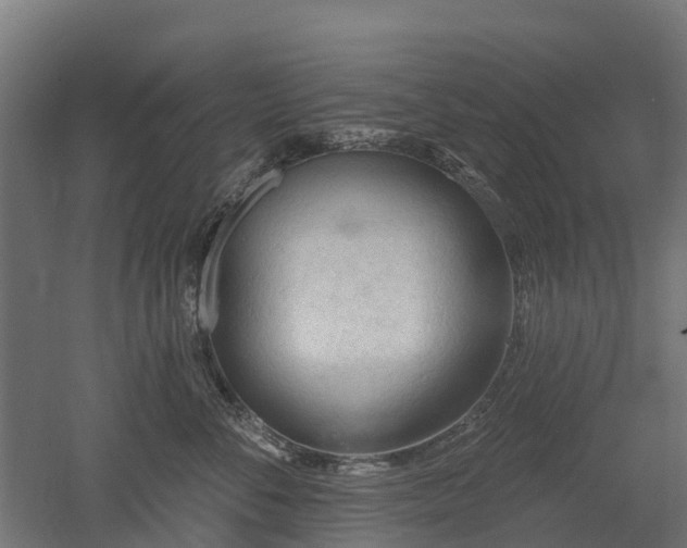 X0000052940716200507151643