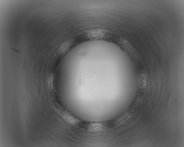 X0000052940717200507151643