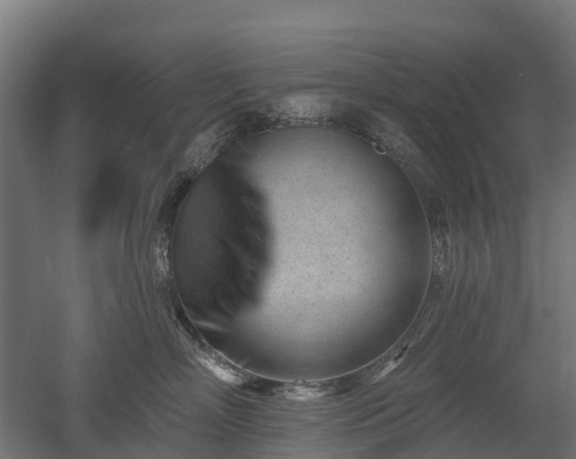 X0000052940718200507151643