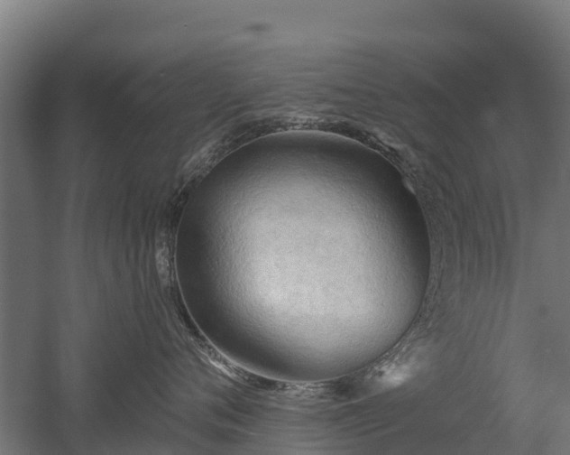 X0000052940720200507151643