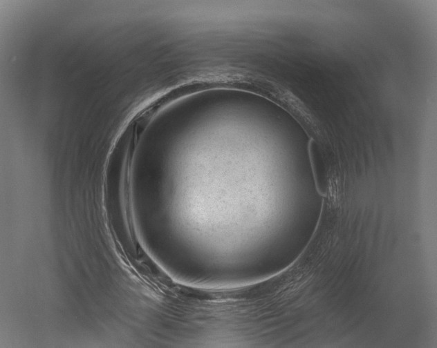 X0000052940724200507151642