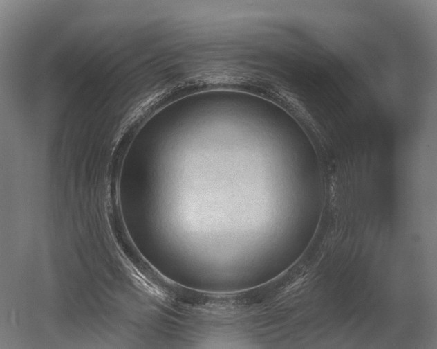 X0000052940725200507151642