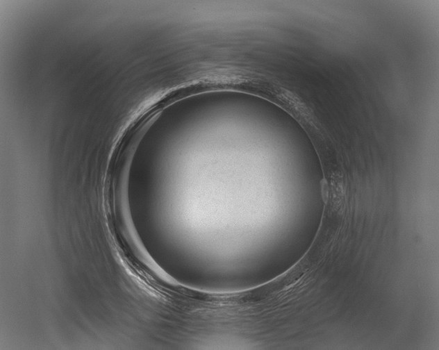 X0000052940726200507151642