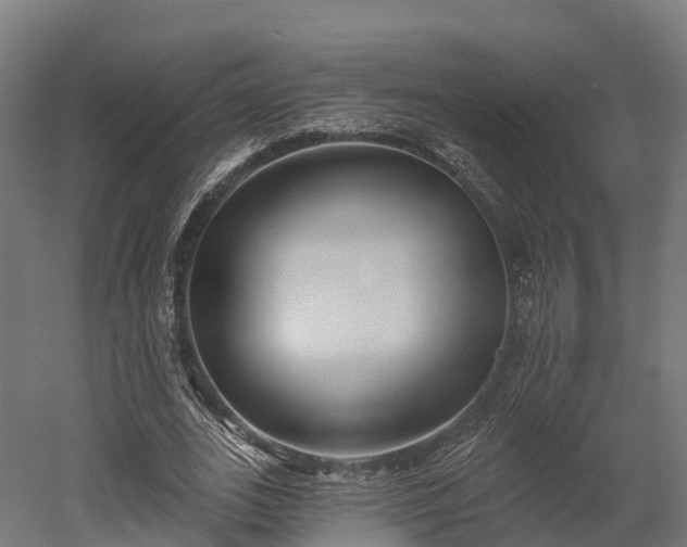 X0000052940727200507151642