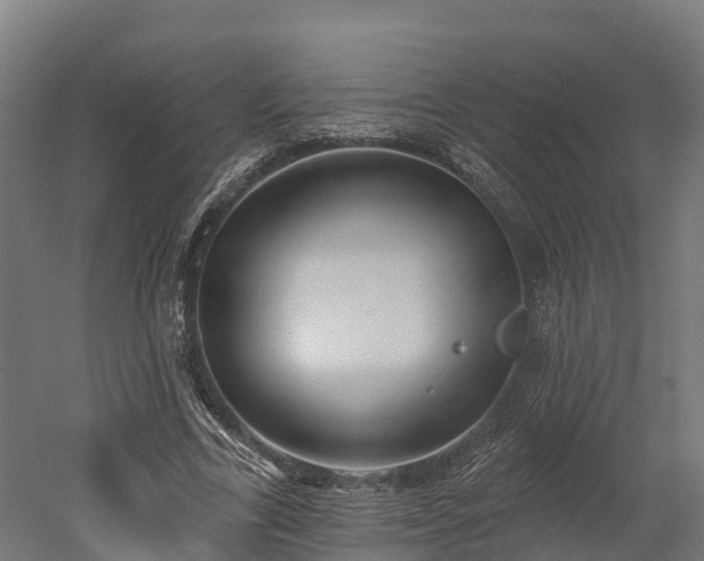 X0000052940731200507151642