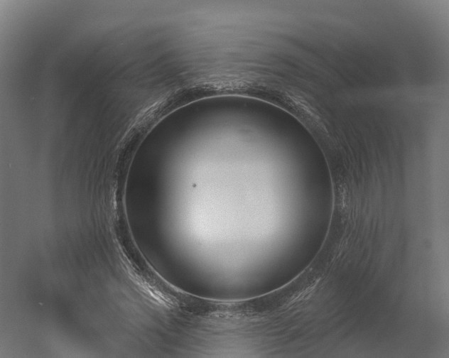 X0000052940733200507151642