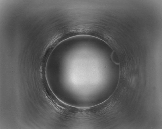 X0000052940735200507151642