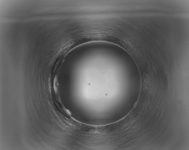 X0000052940739200507151642