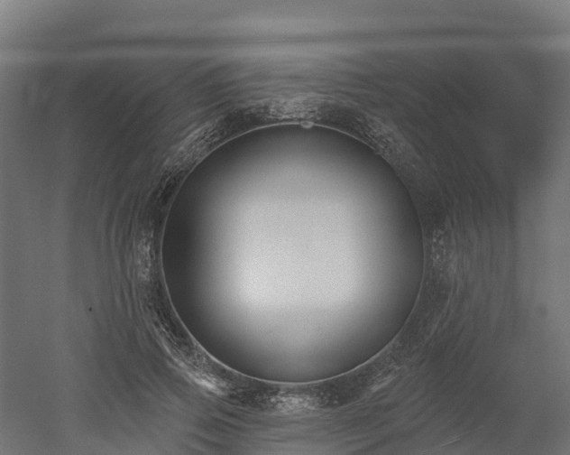 X0000052940741200507151642