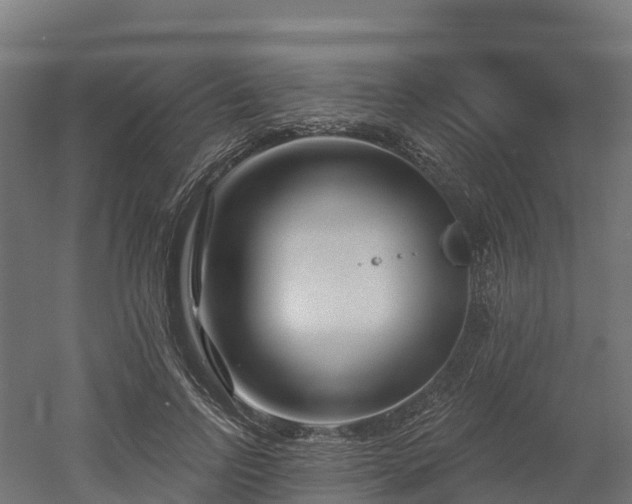 X0000052940742200507151642