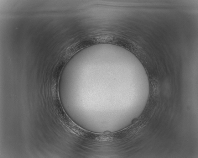 X0000052940745200507151642