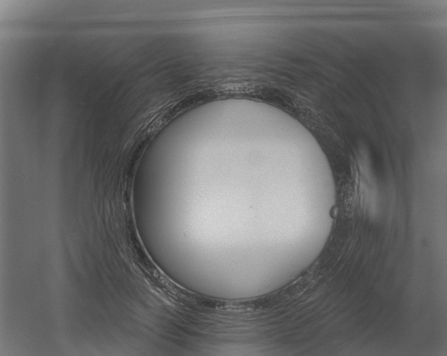 X0000052940746200507151642