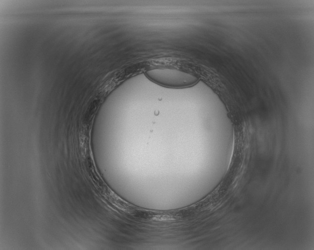 X0000052940749200507151643