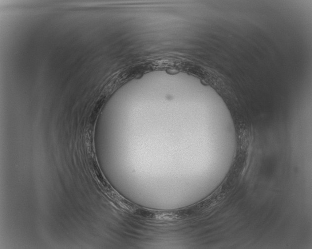 X0000052940753200507151643