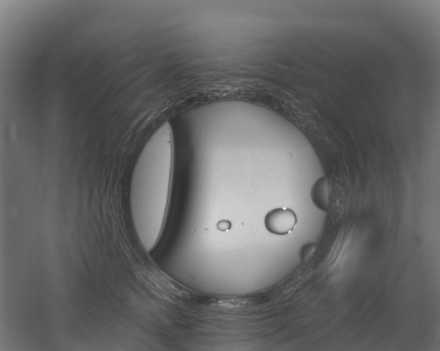 X0000052940758200507151643