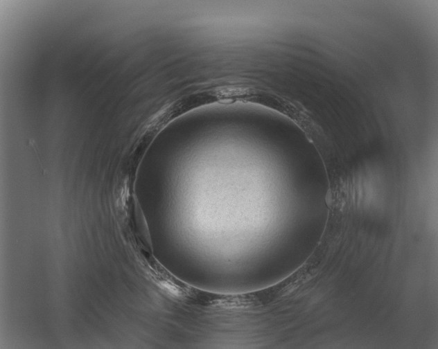 X0000052940763200507151643