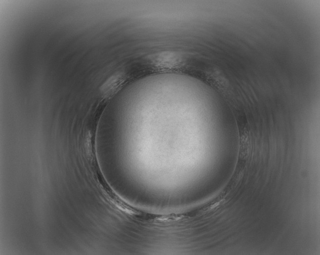 X0000052940765200507151643