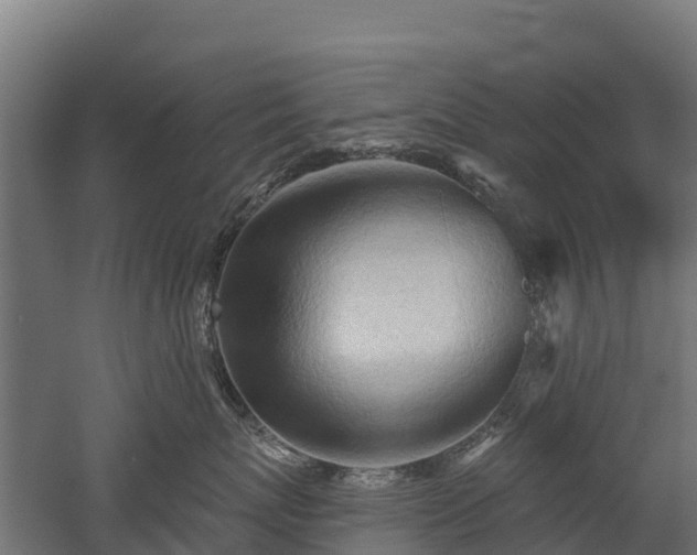 X0000052940767200507151643