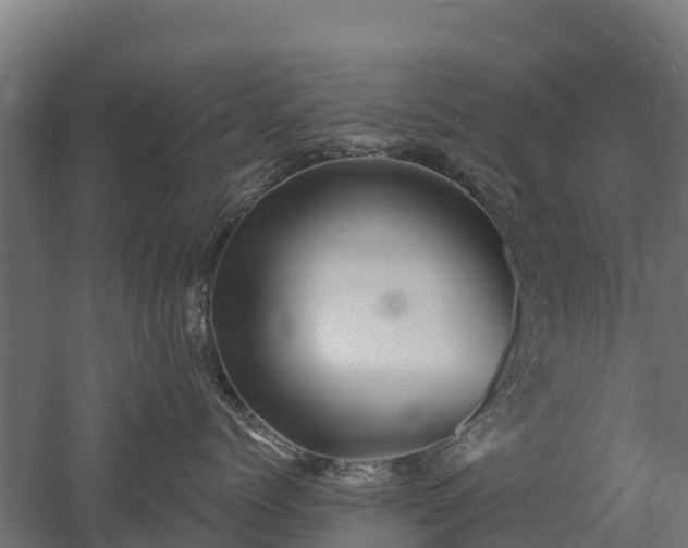 X0000052940768200507151643