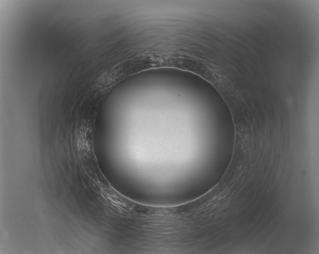 X0000052940770200507151642